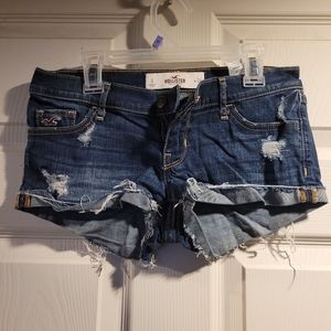 Womens Hollister Shorts
